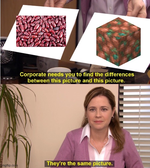 Kidney beans look like Raw Copper | image tagged in memes,they're the same picture | made w/ Imgflip meme maker