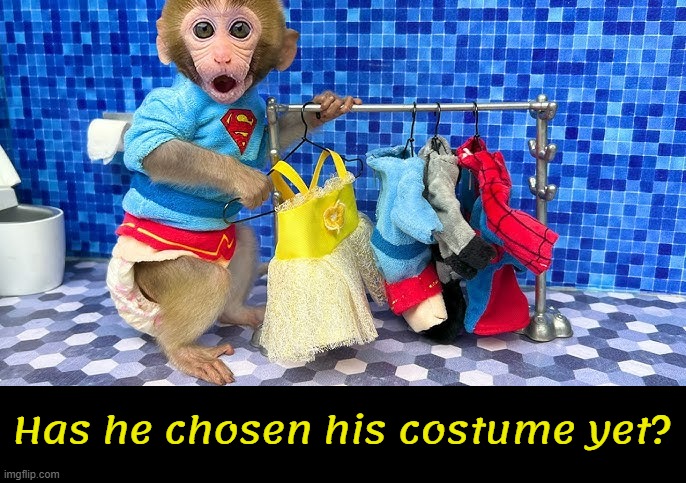 Has he chosen his costume yet? | made w/ Imgflip meme maker