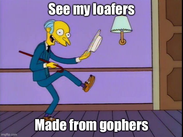 Mr Burns loafers | See my loafers Made from gophers | image tagged in mr burns loafers | made w/ Imgflip meme maker