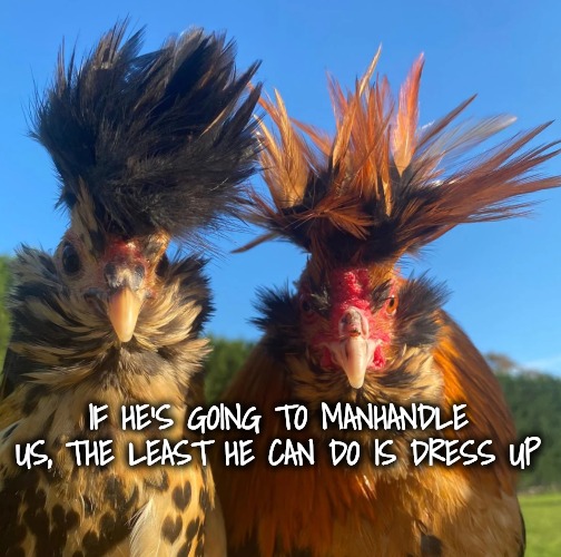 IF HE'S GOING TO MANHANDLE US, THE LEAST HE CAN DO IS DRESS UP | made w/ Imgflip meme maker