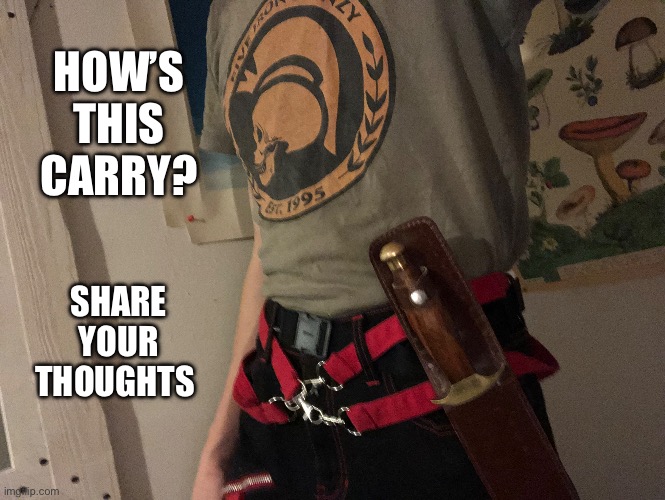 HOW’S THIS CARRY? SHARE YOUR THOUGHTS | made w/ Imgflip meme maker