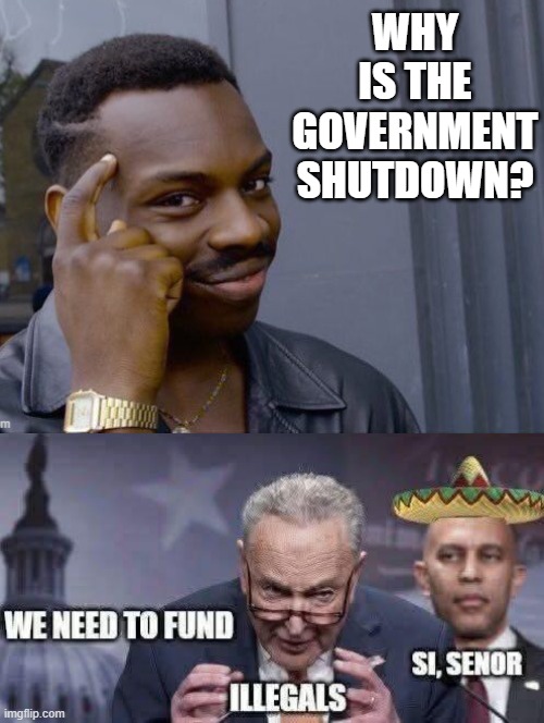 Why is the Government shutdown? | WHY IS THE GOVERNMENT SHUTDOWN? | image tagged in haha yes | made w/ Imgflip meme maker