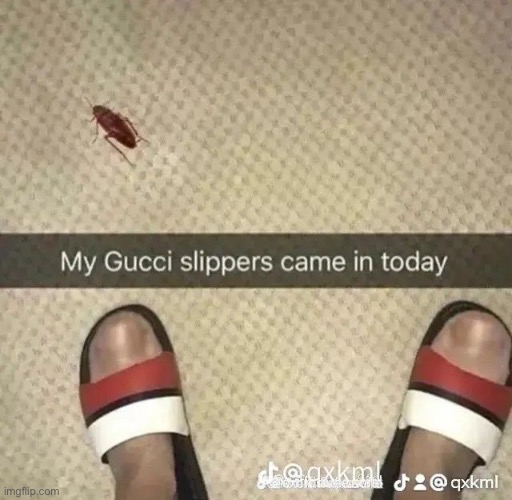 My bus driver is playing mitski | image tagged in my bus driver is playing mitski | made w/ Imgflip meme maker