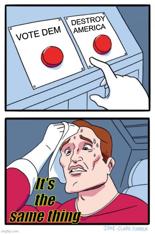 It's no longer even deniable. It's established fact, all you need to do is listen to them. | DESTROY AMERICA; VOTE DEM; It's the same thing | image tagged in memes,two buttons | made w/ Imgflip meme maker