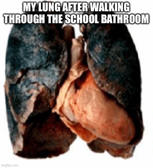 They need Air conditioning in there | MY LUNG AFTER WALKING THROUGH THE SCHOOL BATHROOM | image tagged in asthma lung,dirty,dank memes | made w/ Imgflip meme maker