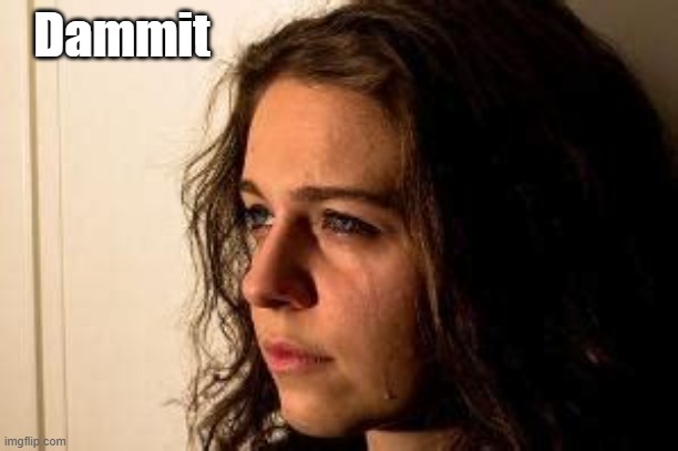 vaguely remember freedom | Dammit | image tagged in vaguely remember freedom | made w/ Imgflip meme maker