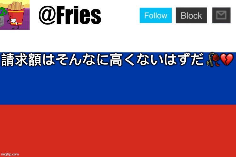 fries russian flag template | 請求額はそんなに高くないはずだ 🥀💔 | image tagged in fries russian flag template | made w/ Imgflip meme maker