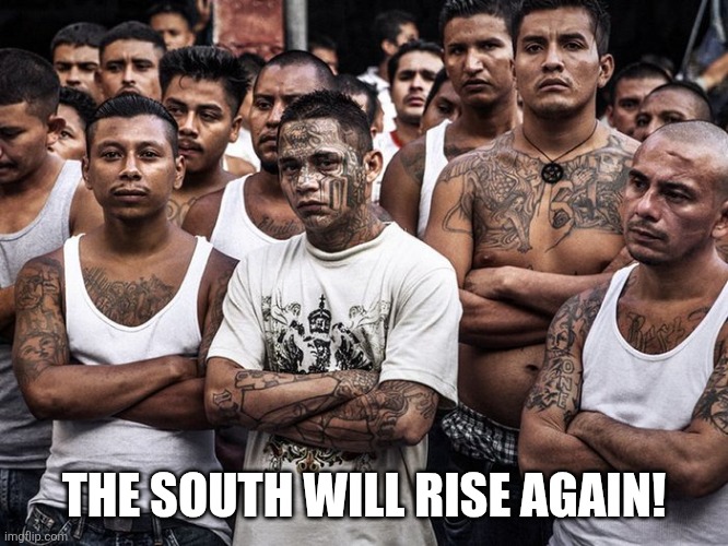Ms13 votes Democrat | THE SOUTH WILL RISE AGAIN! | image tagged in ms13 votes democrat | made w/ Imgflip meme maker