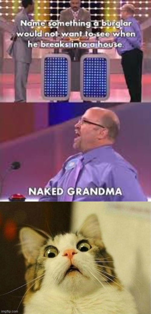I don't want to see that either | image tagged in memes,scared cat,family feud,naked woman,grandma,bleach | made w/ Imgflip meme maker