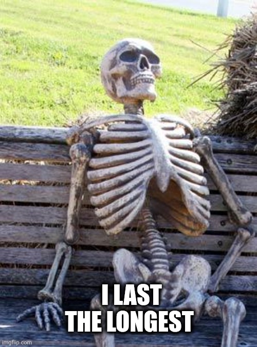 Muthbaar | I LAST THE LONGEST | image tagged in memes,waiting skeleton | made w/ Imgflip meme maker