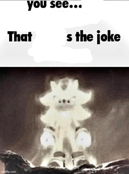 Shadow explains the joke | image tagged in shadow explains the joke | made w/ Imgflip meme maker