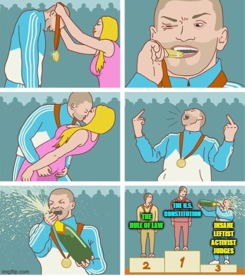 Yes . . . pretty much. | THE U.S. CONSTITUTION; THE RULE OF LAW; INSANE LEFTIST ACTIVIST JUDGES | image tagged in 3rd place celebration | made w/ Imgflip meme maker