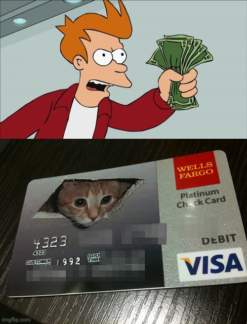 image tagged in memes,shut up and take my money fry,ceiling cat credit card | made w/ Imgflip meme maker