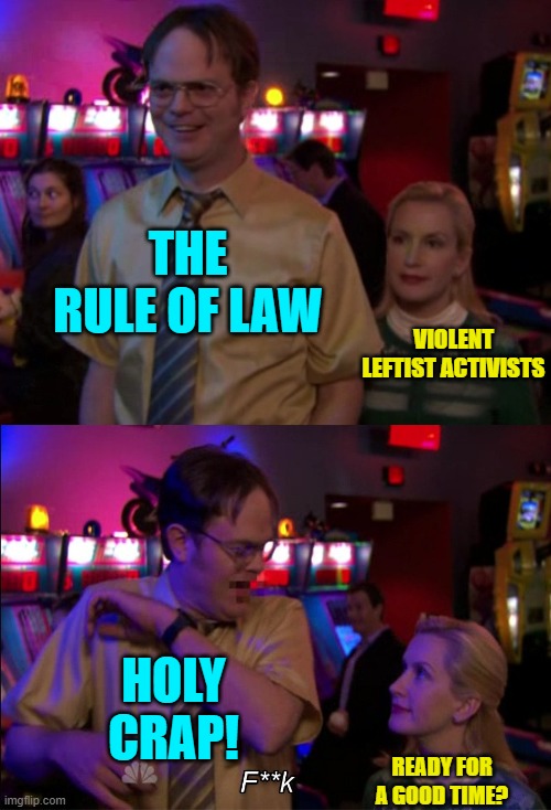 Political violence is a leftist specialty. | THE RULE OF LAW; VIOLENT LEFTIST ACTIVISTS; HOLY CRAP! READY FOR A GOOD TIME? | image tagged in angela scared dwight | made w/ Imgflip meme maker