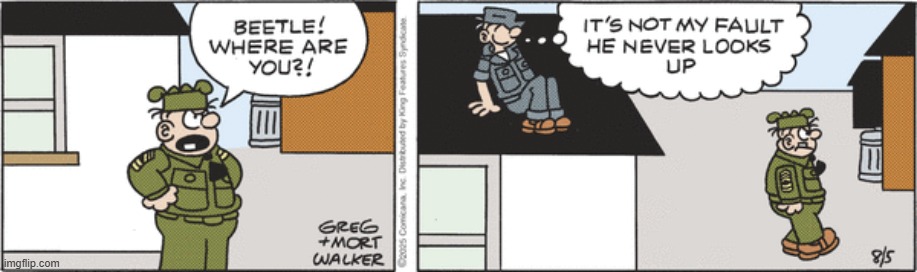 Beetle Bailey | image tagged in comics | made w/ Imgflip meme maker