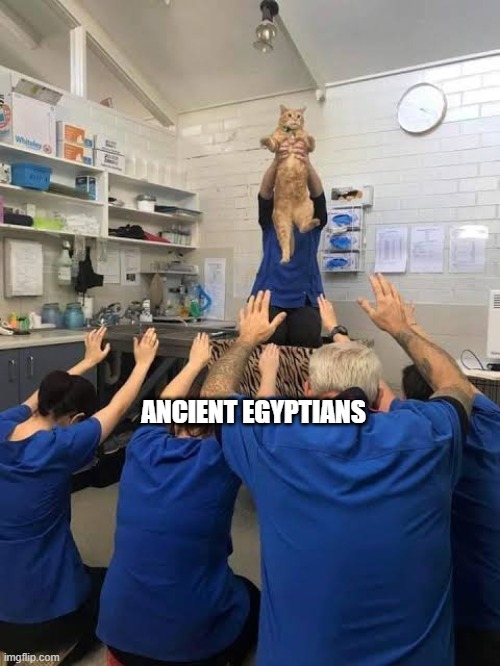 People Worshipping The Cat | ANCIENT EGYPTIANS | image tagged in people worshipping the cat,ancient egypt,cats | made w/ Imgflip meme maker