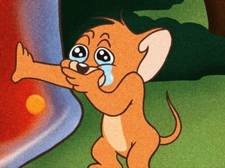 jerry crying Blank Meme Template