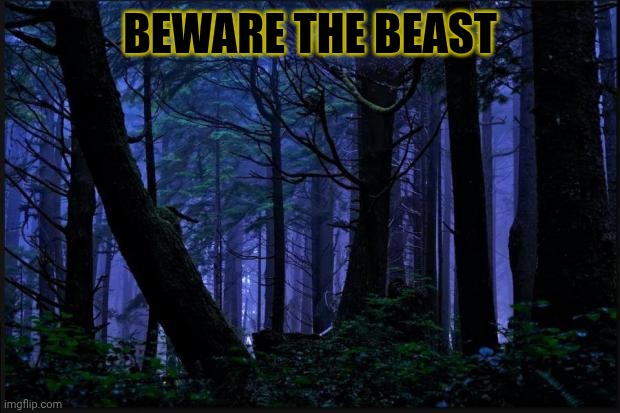 Beware The Beast | BEWARE THE BEAST | image tagged in dark forest | made w/ Imgflip meme maker