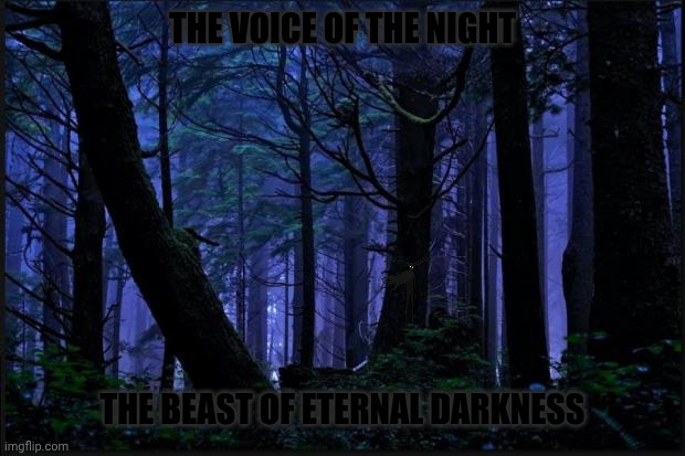 Nothing Specific | THE VOICE OF THE NIGHT; THE BEAST OF ETERNAL DARKNESS | image tagged in dark forest | made w/ Imgflip meme maker