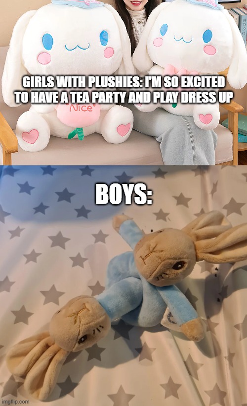 male brain wired different | GIRLS WITH PLUSHIES: I'M SO EXCITED TO HAVE A TEA PARTY AND PLAY DRESS UP; BOYS: | image tagged in stuffed animal,plush,meme,boys vs girls | made w/ Imgflip meme maker