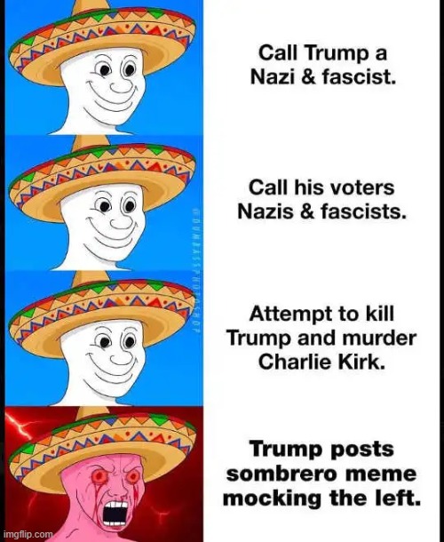 Putting Things in Perspective | image tagged in crying democrats,democrats,parallel universe,twilight zone,nuts,crazy | made w/ Imgflip meme maker