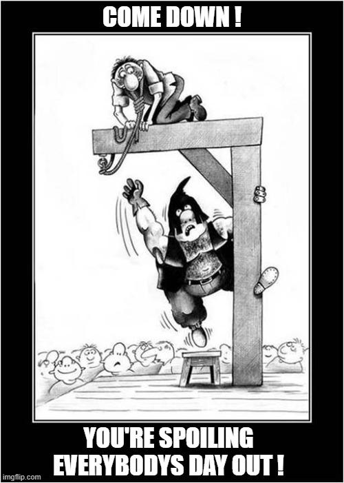 Bring Back Entertaining Public Executions ! | COME DOWN ! YOU'RE SPOILING EVERYBODYS DAY OUT ! | image tagged in execution,entertainment | made w/ Imgflip meme maker