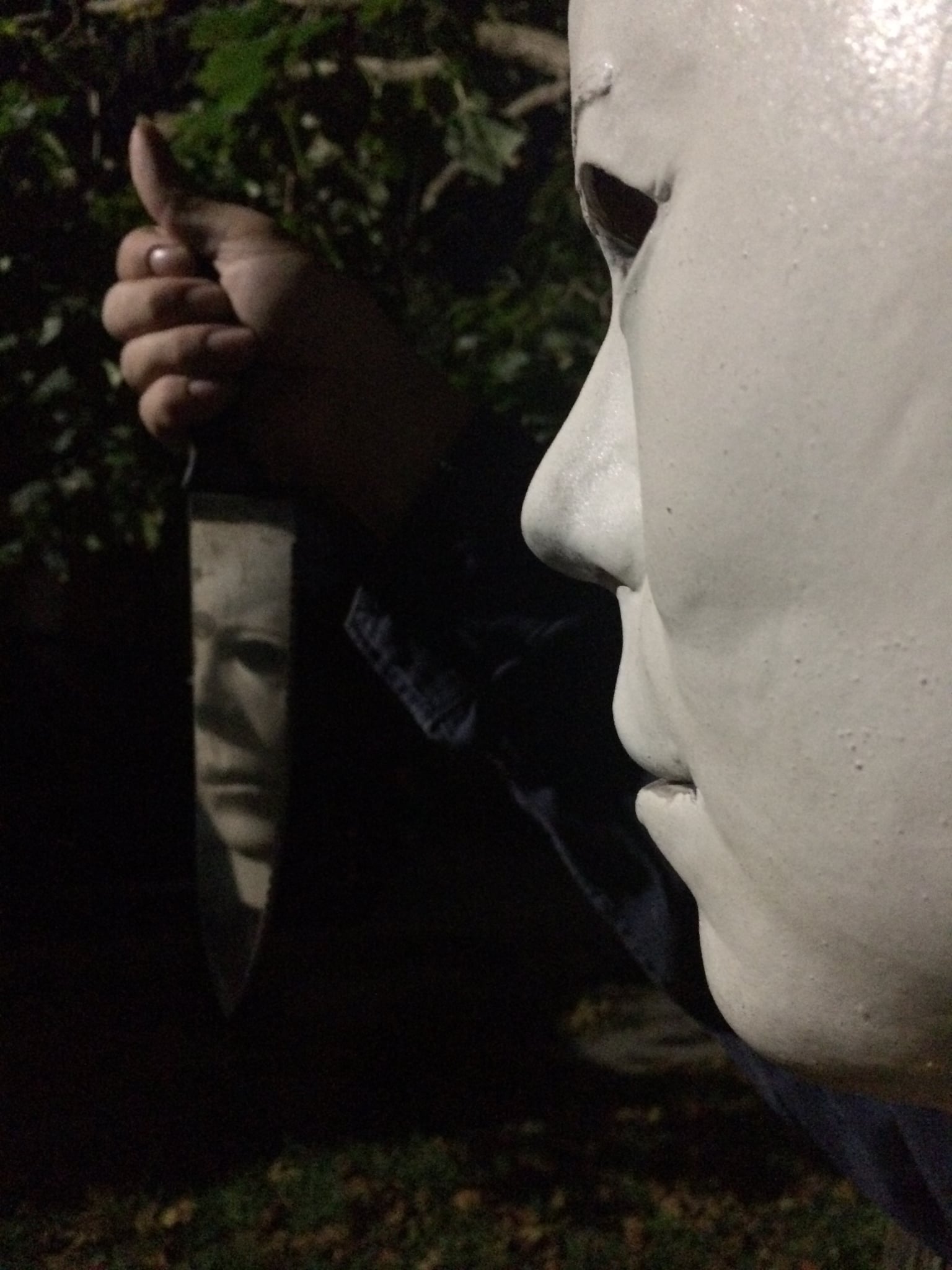 Self Reflection Blank Meme Template