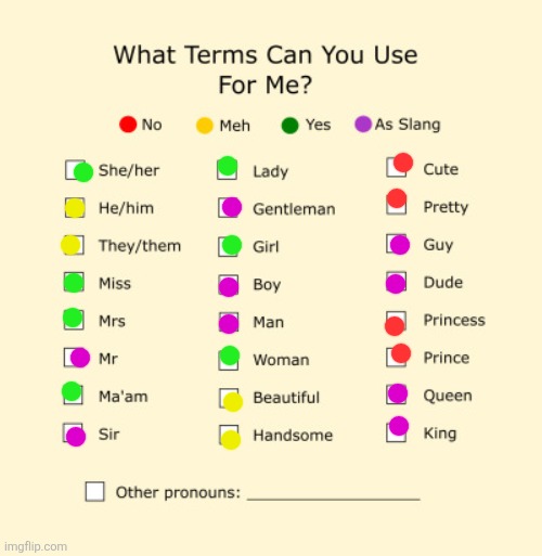 Pronouns Sheet | image tagged in pronouns sheet | made w/ Imgflip meme maker