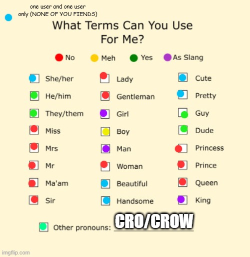 cro is very pickier with pronouns than with food ;-; | one user and one user only (NONE OF YOU FIENDS); CRO/CROW | image tagged in pronouns sheet | made w/ Imgflip meme maker