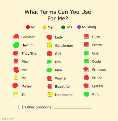 yuh | image tagged in pronouns sheet | made w/ Imgflip meme maker