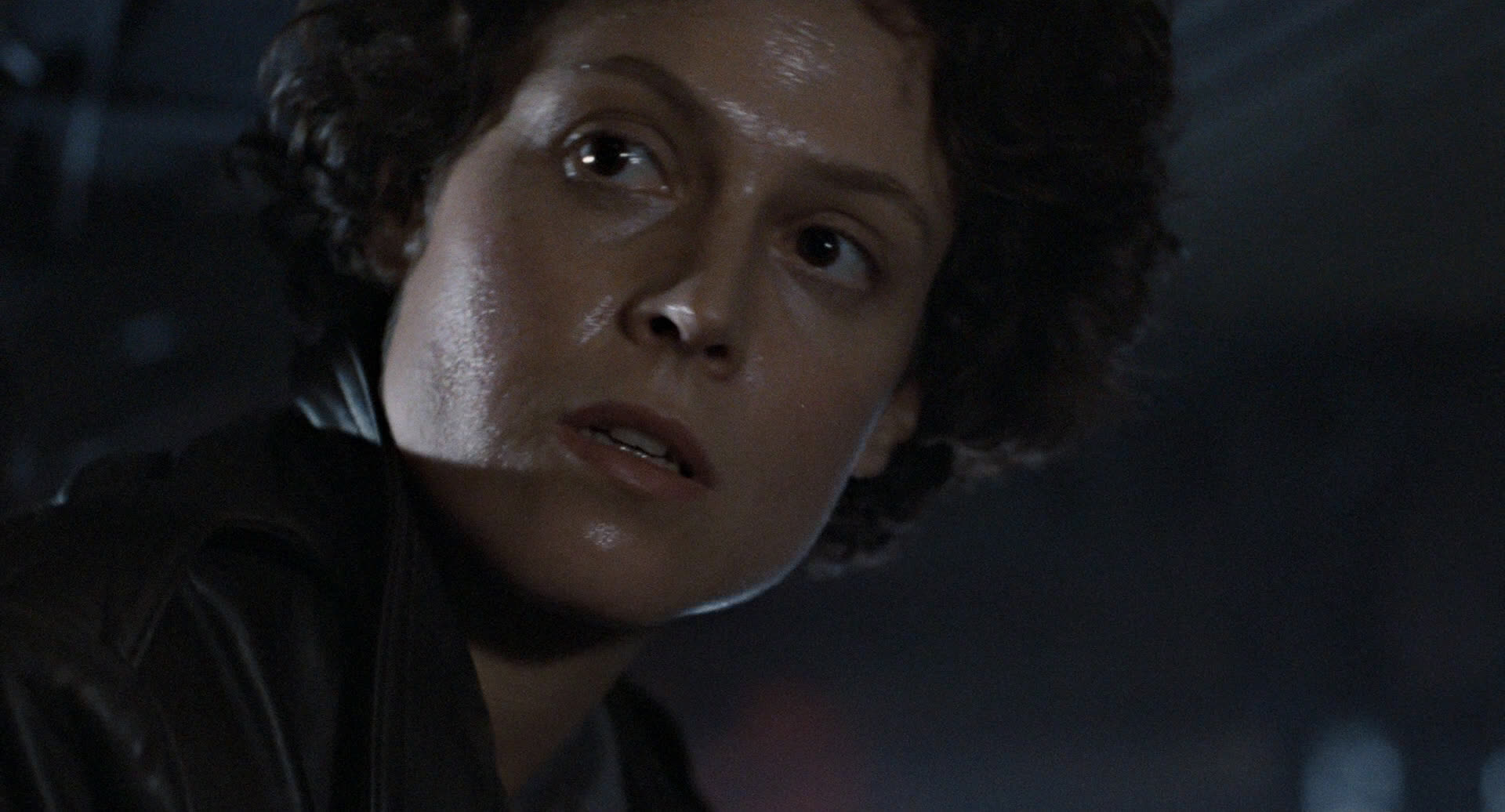 Nuke um Blank Meme Template