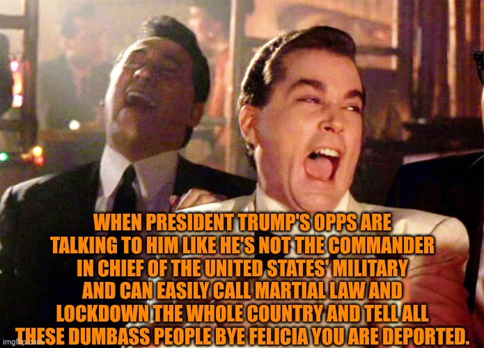 Funny | WHEN PRESIDENT TRUMP'S OPPS ARE TALKING TO HIM LIKE HE'S NOT THE COMMANDER IN CHIEF OF THE UNITED STATES' MILITARY AND CAN EASILY CALL MARTIAL LAW AND LOCKDOWN THE WHOLE COUNTRY AND TELL ALL THESE DUMBASS PEOPLE BYE FELICIA YOU ARE DEPORTED. | image tagged in memes,good fellas hilarious,enemies,president trump,deportation,martial arts | made w/ Imgflip meme maker