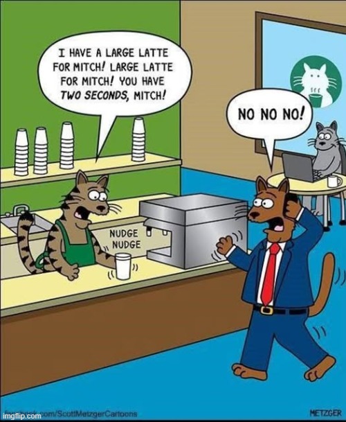 Better hurry, Mitch | image tagged in scott metzger,cats,starbucks | made w/ Imgflip meme maker