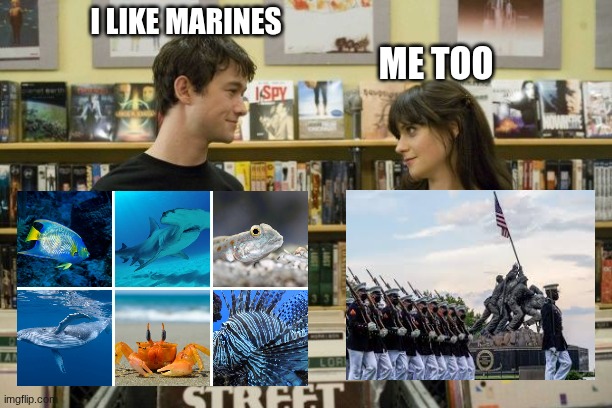 Big difference | I LIKE MARINES; ME TOO | image tagged in i like music 500 days of summer,memes,funny,marines | made w/ Imgflip meme maker