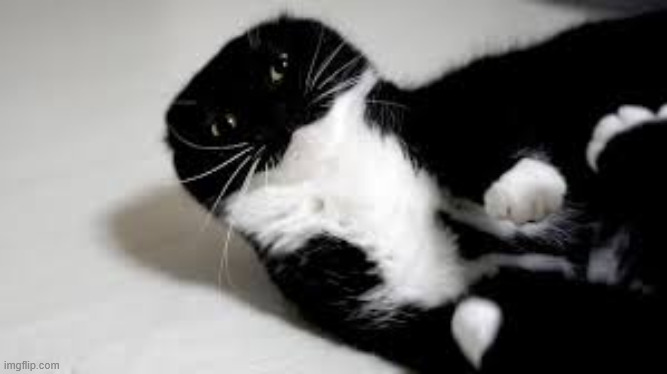 uni :P | made w/ Imgflip meme maker