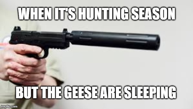 c'mon i'm being nice and not wakin' em up | WHEN IT'S HUNTING SEASON; BUT THE GEESE ARE SLEEPING | image tagged in hunting,hunting season,gun,dank memes | made w/ Imgflip meme maker