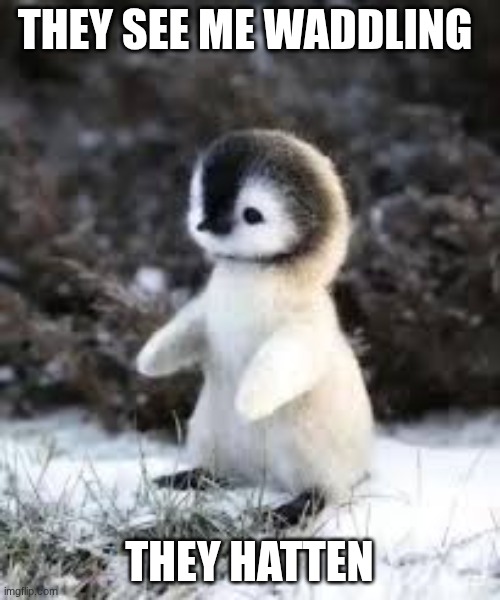 THEY SEE ME WADDLING THEY HATTEN | made w/ Imgflip meme maker