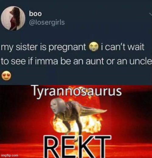 i mean her heart is in the right place | image tagged in auntie,twitter,memes,tyrannosaurus rekt,dankmemes,lol | made w/ Imgflip meme maker