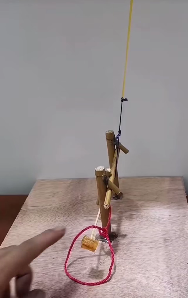 Funny Blank Meme Template