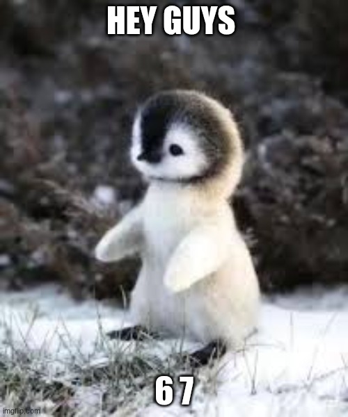 6 7 | HEY GUYS; 6 7 | image tagged in funny | made w/ Imgflip meme maker