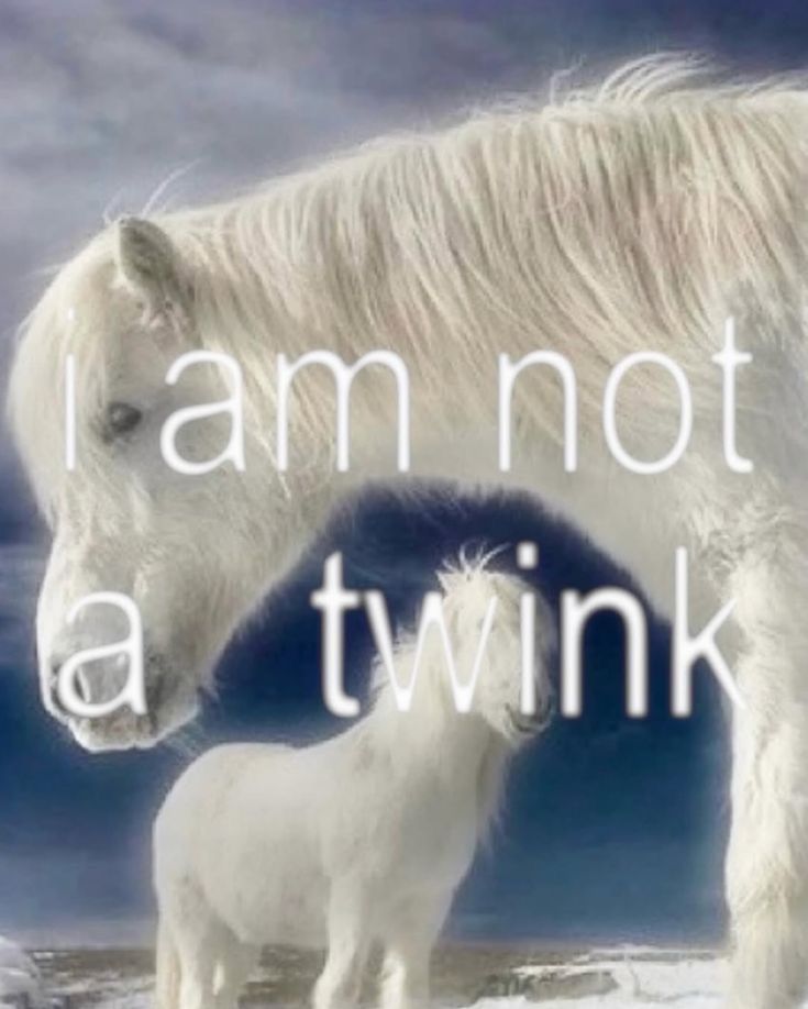 I am not a twink Blank Meme Template