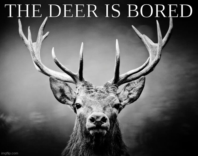 entertain me or I eat another kid | THE DEER IS BORED | image tagged in the deer | made w/ Imgflip meme maker