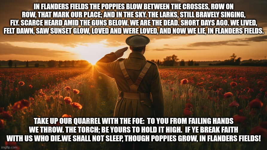 In Flanders Fields | IN FLANDERS FIELDS THE POPPIES BLOW BETWEEN THE CROSSES, ROW ON ROW, THAT MARK OUR PLACE; AND IN THE SKY. THE LARKS, STILL BRAVELY SINGING, FLY. SCARCE HEARD AMID THE GUNS BELOW. WE ARE THE DEAD. SHORT DAYS AGO. WE LIVED, FELT DAWN, SAW SUNSET GLOW, LOVED AND WERE LOVED, AND NOW WE LIE, IN FLANDERS FIELDS. TAKE UP OUR QUARREL WITH THE FOE:  TO YOU FROM FAILING HANDS WE THROW. THE TORCH; BE YOURS TO HOLD IT HIGH.  IF YE BREAK FAITH WITH US WHO DIE.WE SHALL NOT SLEEP, THOUGH POPPIES GROW, IN FLANDERS FIELDS! | image tagged in in flanders fields | made w/ Imgflip meme maker