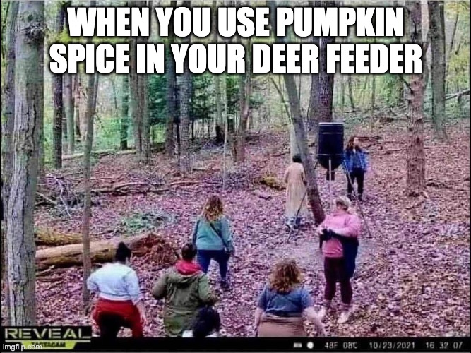 Deer feeder | WHEN YOU USE PUMPKIN SPICE IN YOUR DEER FEEDER | image tagged in deer | made w/ Imgflip meme maker