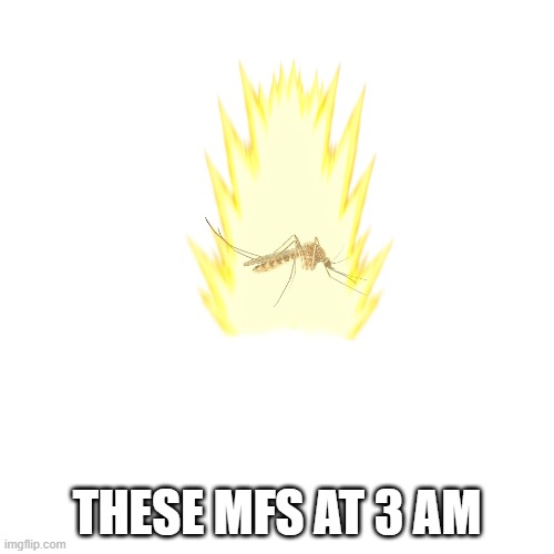 Blank Transparent Square | THESE MFS AT 3 AM | image tagged in memes,blank transparent square | made w/ Imgflip meme maker