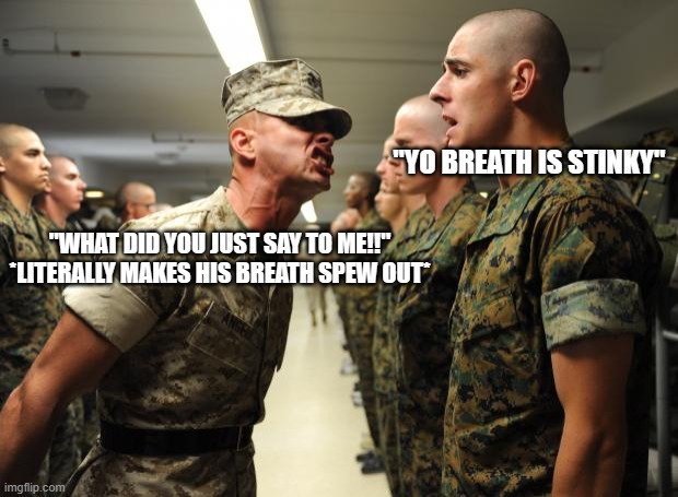 drill sergeant | "YO BREATH IS STINKY"; "WHAT DID YOU JUST SAY TO ME!!" *LITERALLY MAKES HIS BREATH SPEW OUT* | image tagged in drill sergeant | made w/ Imgflip meme maker