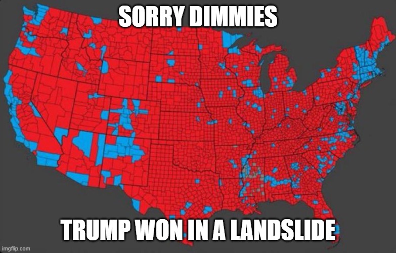 Landslide for Trump | SORRY DIMMIES; TRUMP WON IN A LANDSLIDE | image tagged in landslide,donald trump,usa,politics,democrats | made w/ Imgflip meme maker