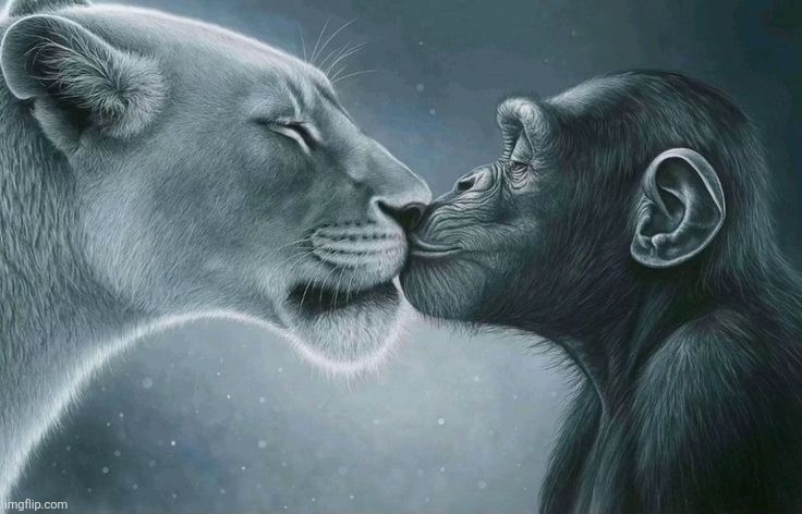 Kiss bait | image tagged in kiss bait | made w/ Imgflip meme maker