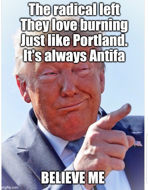 Trump pointing | The radical left
They love burning Just like Portland.
 It's always Antifa BELIEVE ME | image tagged in trump pointing | made w/ Imgflip meme maker