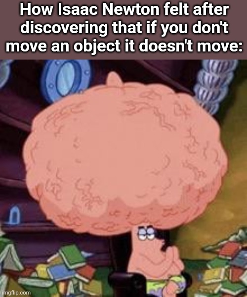 How Isaac Newton felt after discovering that if you don't move an object it doesn't move: | image tagged in memes | made w/ Imgflip meme maker